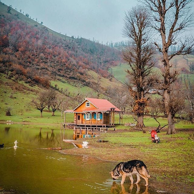 iran forest iran north forest iran nature iran climate iran green parts