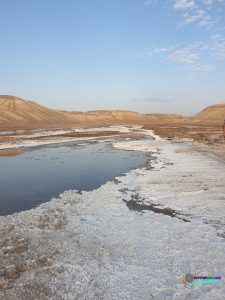 Isfahan desert tour Iran desert tours desert tour in iran meser desert tour garmeh village tour mesr desert tour mesr desert guesthouse Iran mesr desert mesir desert village25 seetrueiran see true iran iran small group tour iran small group tours best small group tours of iran small group tours of iran small group tour to iran iran small group travel iran driver guide iran guide and driver driver guide in iran iran tour guide driver iran private tour iran private tours iran private tour guide iran private tour cost best private tour iran private tour in iran private tour guide in iran private tour of iran iran small group tour iran small group tours best small group tours of iran small group tours of iran small group tour to iran iran small group travel iran driver guide iran guide and driver driver guide in iran iran tour guide driver iran private tour iran private tours iran private tour guide iran private tour cost best private tour iran private tour in iran private tour guide in iran private tour of iran iran small group tour iran small group tours best small group tours of iran small group tours of iran small group tour to iran iran small group travel iran driver guide iran guide and driver driver guide in iran iran tour guide driver iran private tour iran private tours iran private tour guide iran private tour cost best private tour iran private tour in iran private tour guide in iran private tour of iran iran small group tour iran small group tours best small group tours of iran small group tours of iran small group tour to iran iran small group travel iran driver guide iran guide and driver driver guide in iran iran tour guide driver iran private tour iran private tours iran private tour guide iran private tour cost best private tour iran private tour in iran private tour guide in iran private tour of iran iran small group tour iran small group tours best small group tours of iran small group tours of iran small group tour to iran iran small group travel iran driver guide iran guide and driver driver guide in iran iran tour guide driver iran private tour iran private tours iran private tour guide iran private tour cost best private tour iran private tour in iran private tour guide in iran private tour of iran iran small group tour iran small group tours best small group tours of iran small group tours of iran small group tour to iran iran small group travel iran driver guide iran guide and driver driver guide in iran iran tour guide driver iran private tour iran private tours iran private tour guide iran private tour cost best private tour iran private tour in iran private tour guide in iran private tour of iran iran small group tour iran small group tours best small group tours of iran small group tours of iran small group tour to iran iran small group travel iran driver guide iran guide and driver driver guide in iran iran tour guide driver iran private tour iran private tours iran private tour guide iran private tour cost best private tour iran private tour in iran private tour guide in iran private tour of iran iran small group tour iran small group tours best small group tours of iran small group tours of iran small group tour to iran iran small group travel iran driver guide iran guide and driver driver guide in iran iran tour guide driver iran private tour iran private tours iran private tour guide iran private tour cost best private tour iran private tour in iran private tour guide in iran private tour of iran iran small group tour iran small group tours best small group tours of iran small group tours of iran small group tour to iran iran small group travel iran driver guide iran guide and driver driver guide in iran iran tour guide driver iran private tour iran private tours iran private tour guide iran private tour cost best private tour iran private tour in iran private tour guide in iran private tour of iraniran small group tour iran small group tours best small group tours of iran small group tours of iran small group tour to iran iran small group travel iran driver guide iran guide and driver driver guide in iran iran tour guide driver iran private tour iran private tours iran private tour guide iran private tour cost best private tour iran private tour in iran private tour guide in iran private tour of iran iran small group tour iran small group tours best small group tours of iran small group tours of iran small group tour to iran iran small group travel iran driver guide iran guide and driver driver guide in iran iran tour guide driver iran private tour iran private tours iran private tour guide iran private tour cost best private tour iran private tour in iran private tour guide in iran private tour of iran iran small group tour iran small group tours best small group tours of iran small group tours of iran small group tour to iran iran small group travel iran driver guide iran guide and driver driver guide in iran iran tour guide driver iran private tour iran private tours iran private tour guide iran private tour cost best private tour iran private tour in iran private tour guide in iran private tour of iran iran small group tour iran small group tours best small group tours of iran small group tours of iran small group tour to iran iran small group travel iran driver guide iran guide and driver driver guide in iran iran tour guide driver iran private tour iran private tours iran private tour guide iran private tour cost best private tour iran private tour in iran private tour guide in iran private tour of iran iran small group tour iran small group tours best small group tours of iran small group tours of iran small group tour to iran iran small group travel iran driver guide iran guide and driver driver guide in iran iran tour guide driver iran private tour iran private tours iran private tour guide iran private tour cost best private tour iran private tour in iran private tour guide in iran private tour of iran iran small group tour iran small group tours best small group tours of iran small group tours of iran small group tour to iran iran small group travel iran driver guide iran guide and driver driver guide in iran iran tour guide driver iran private tour iran private tours iran private tour guide iran private tour cost best private tour iran private tour in iran private tour guide in iran private tour of iran iran small group tour iran small group tours best small group tours of iran small group tours of iran small group tour to iran iran small group travel iran driver guide iran guide and driver driver guide in iran iran tour guide driver iran private tour iran private tours iran private tour guide iran private tour cost best private tour iran private tour in iran private tour guide in iran private tour of iran iran small group tour iran small group tours best small group tours of iran small group tours of iran small group tour to iran iran small group travel iran driver guide iran guide and driver driver guide in iran iran tour guide driver iran private tour iran private tours iran private tour guide iran private tour cost best private tour iran private tour in iran private tour guide in iran private tour of iran iran small group tour iran small group tours best small group tours of iran small group tours of iran small group tour to iran iran small group travel iran driver guide iran guide and driver driver guide in iran iran tour guide driver iran private tour iran private tours iran private tour guide iran private tour cost best private tour iran private tour in iran private tour guide in iran private tour of iran